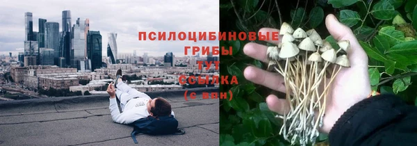 МДПВ Верхний Тагил
